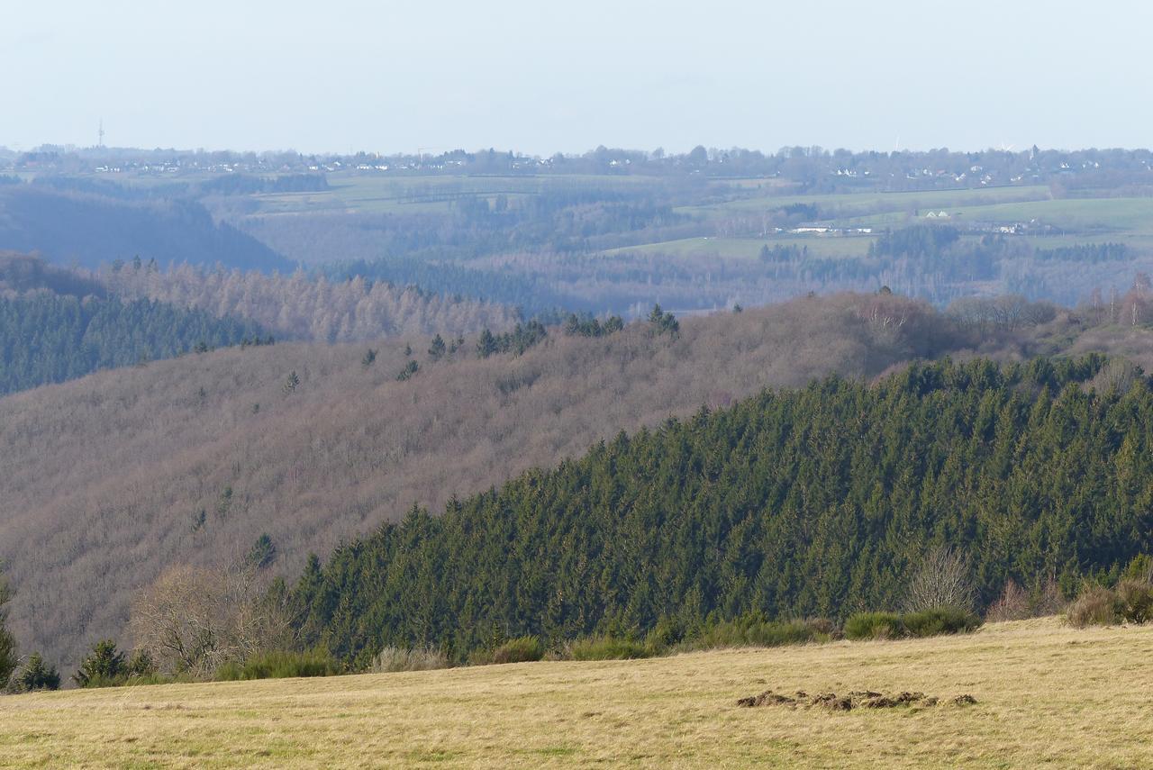 Chalets Am National Park Eifel Schleiden Exteriör bild